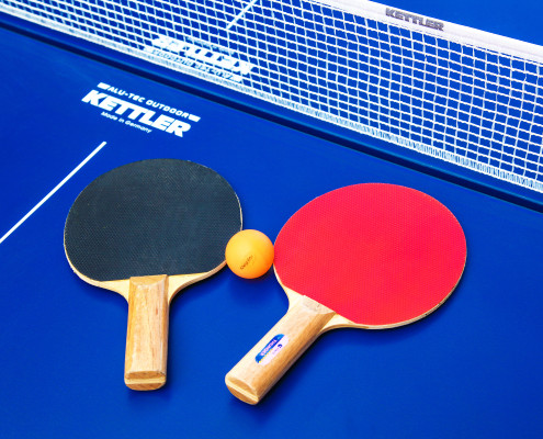 Ping Pong - Tennis Table